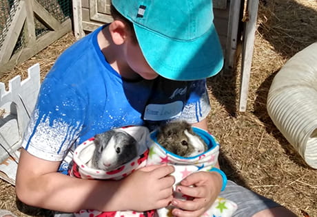 Young people experiencing animal assisted learning with Change of Scene
