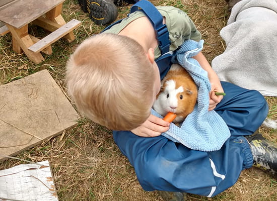 Young people experiencing animal assisted learning with Change of Scene