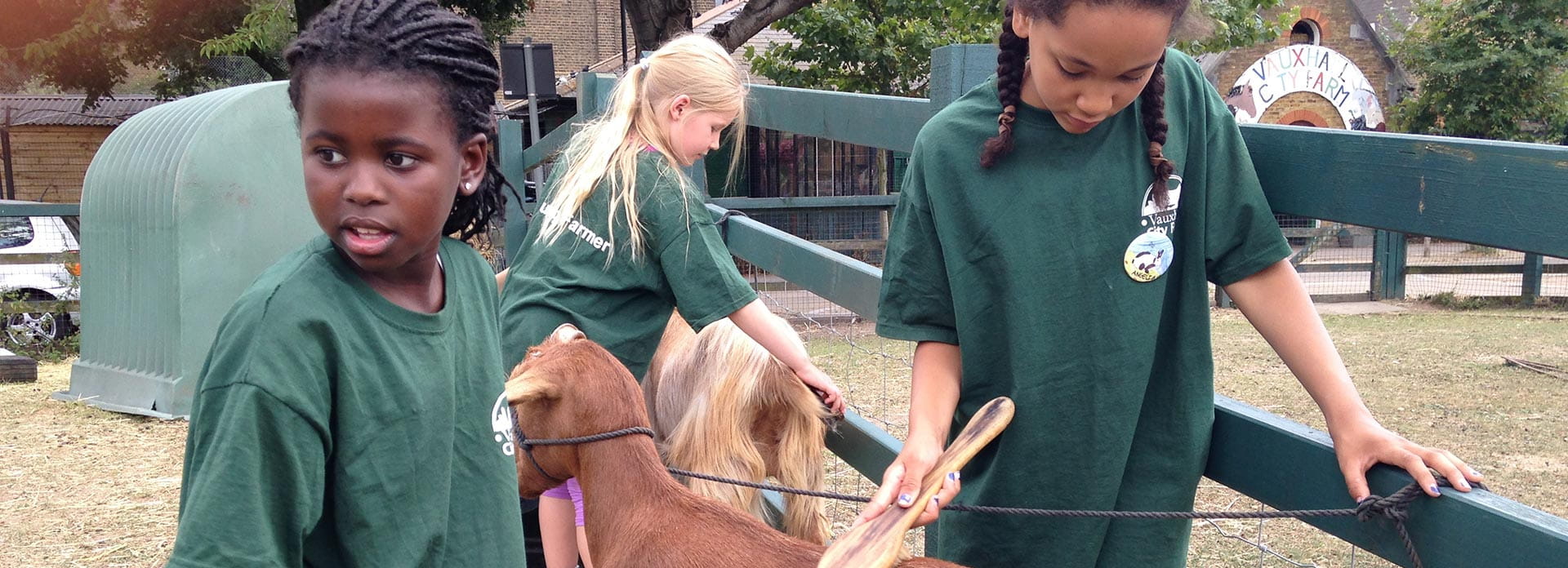 Vauxhall City Farm Header